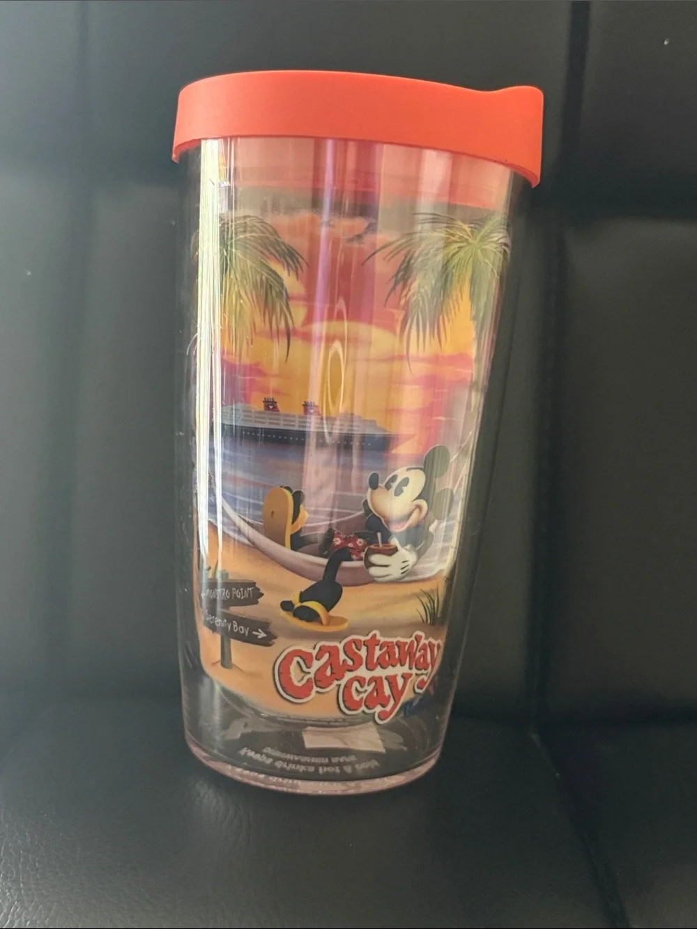 Tervis Tumbler- Disney Cruise Line